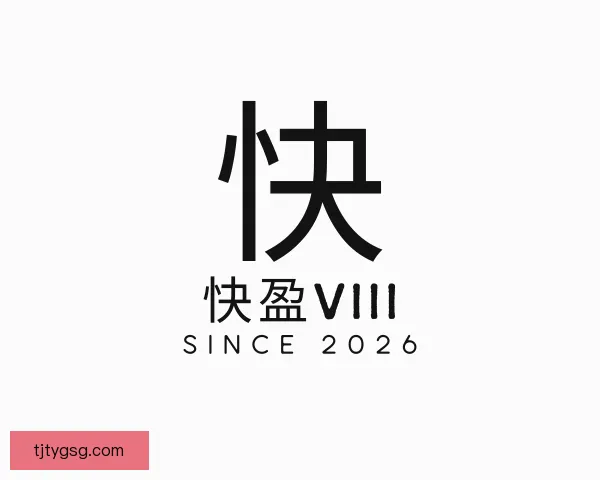 介绍快盈VIII
